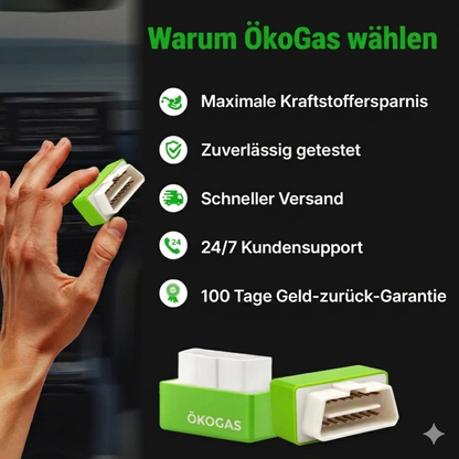 Halbieren Sie Ihre Tankkosten mit ÖkoGas™ - V6